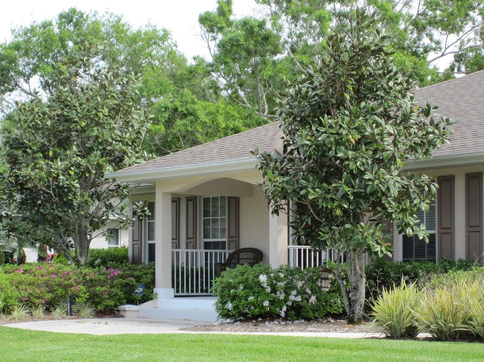 Inspiration for a mid-sized transitional full sun front yard landscaping in Tampa for spring.