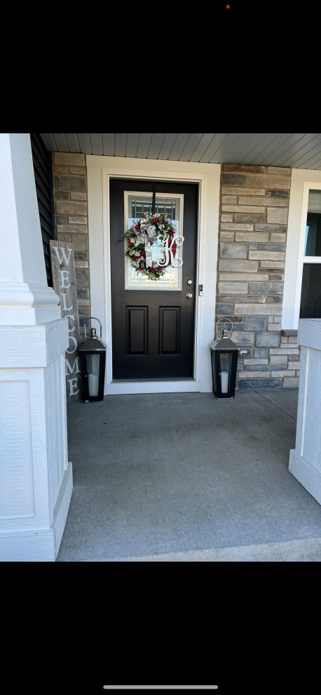 Storm door color