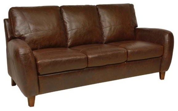 Jennifer Leather Sofa Transitional Sofas By Greatfurnituredeal Jennifer Leather Sofa Transitional