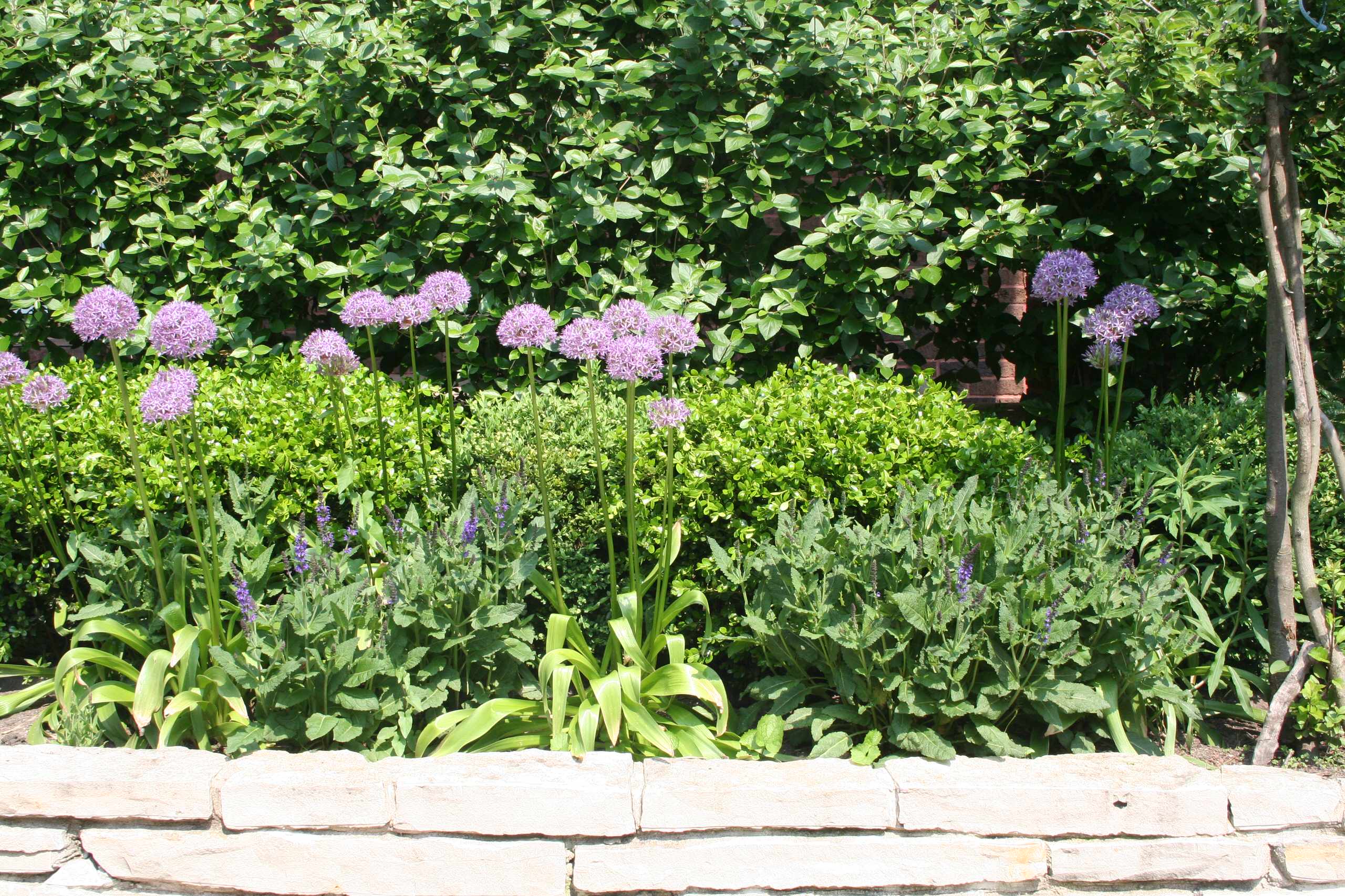 North Shore Landscaping 2016