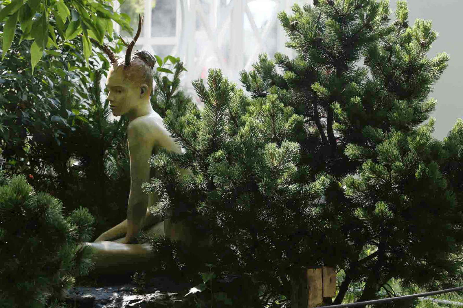 ФОТОСЪЕМКА САДА  GIGI CAMERON  and MARK EVELEIGH на   MOSCOW  FLOWER  SHOW 2017