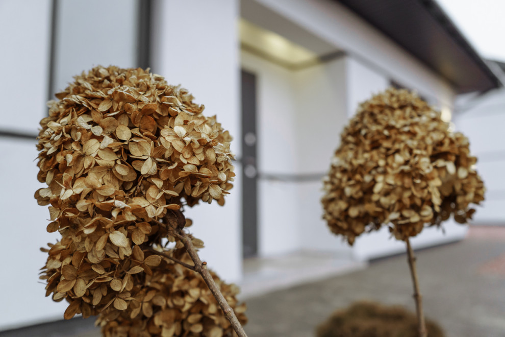 Build project. Cottege complex