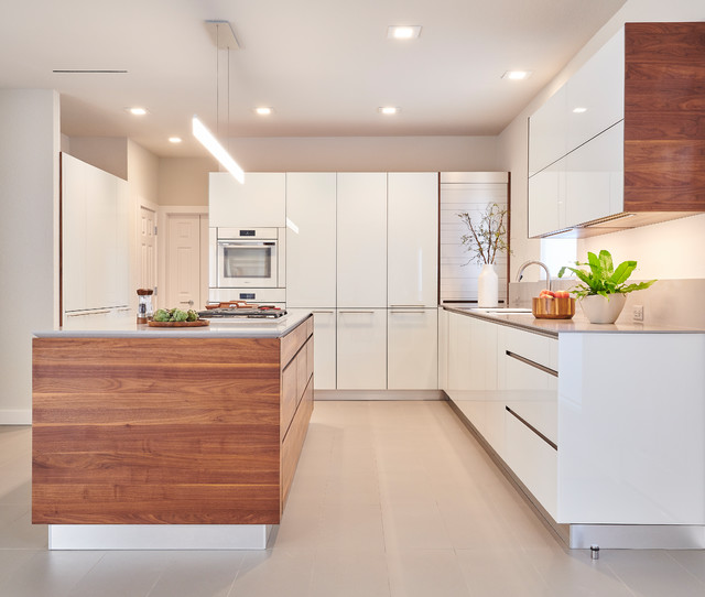 Modern Kitchen Renovation contemporary-kitchen