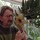 Last commented by Dirk Everaerd