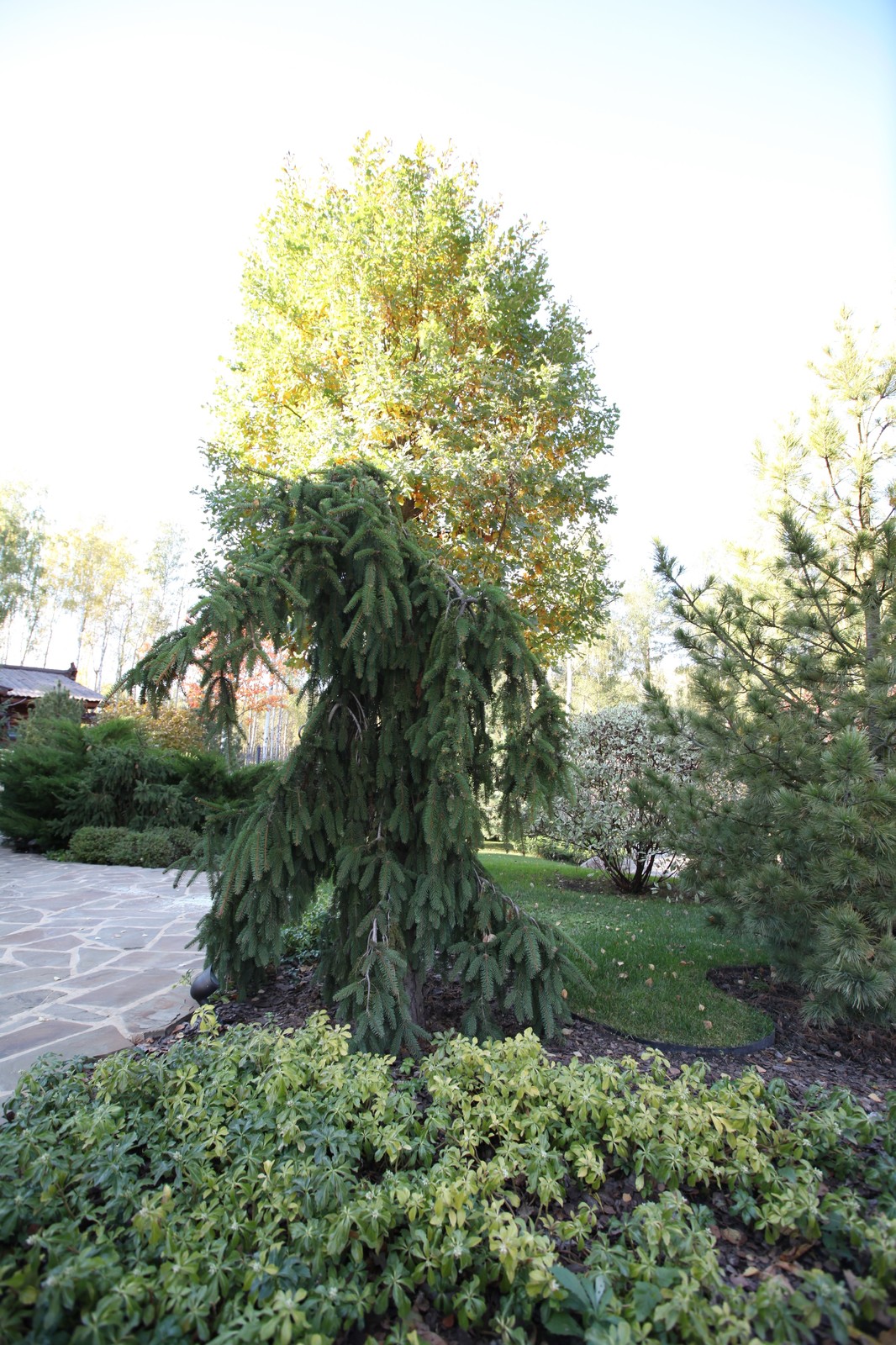 Сказочный мир в предместье Орла