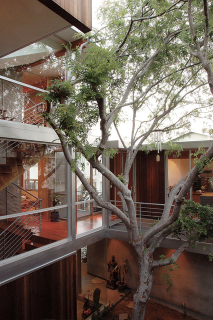 Tree House modern-patio