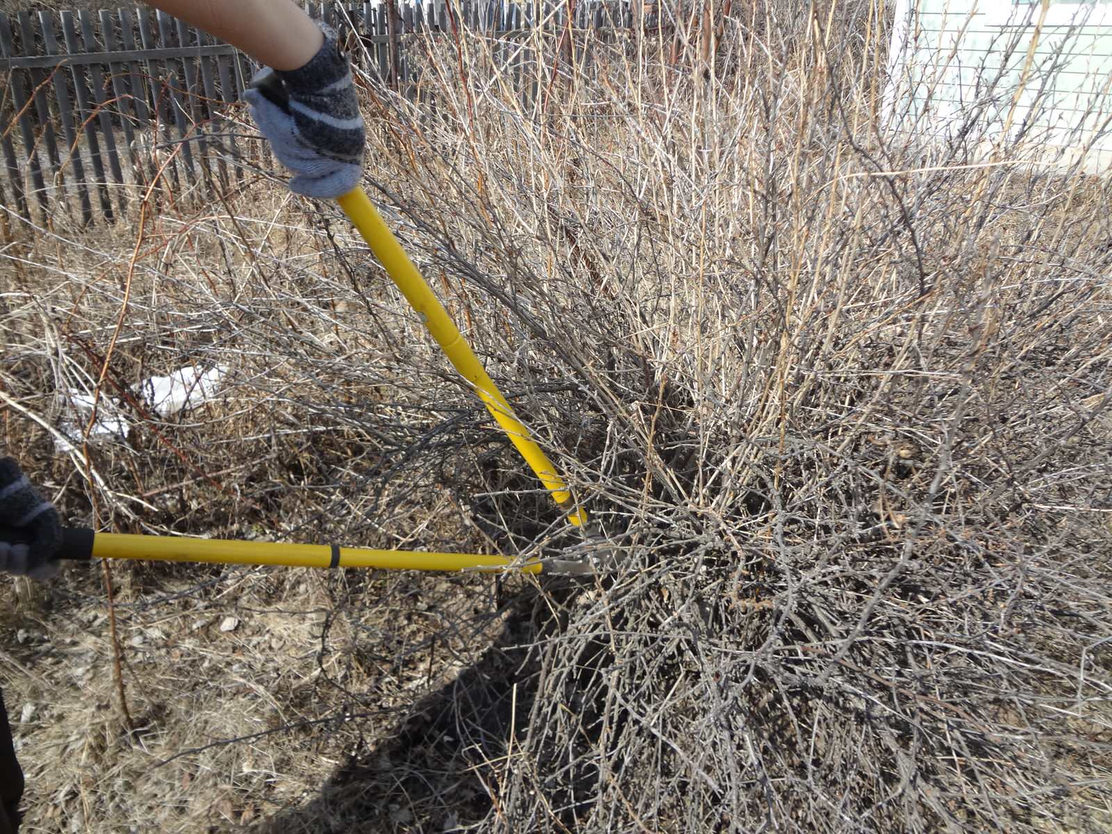 подготовка к сезону . Уход всесезонный