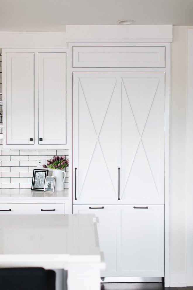 Inspiration for a transitional home design remodel in Chicago
