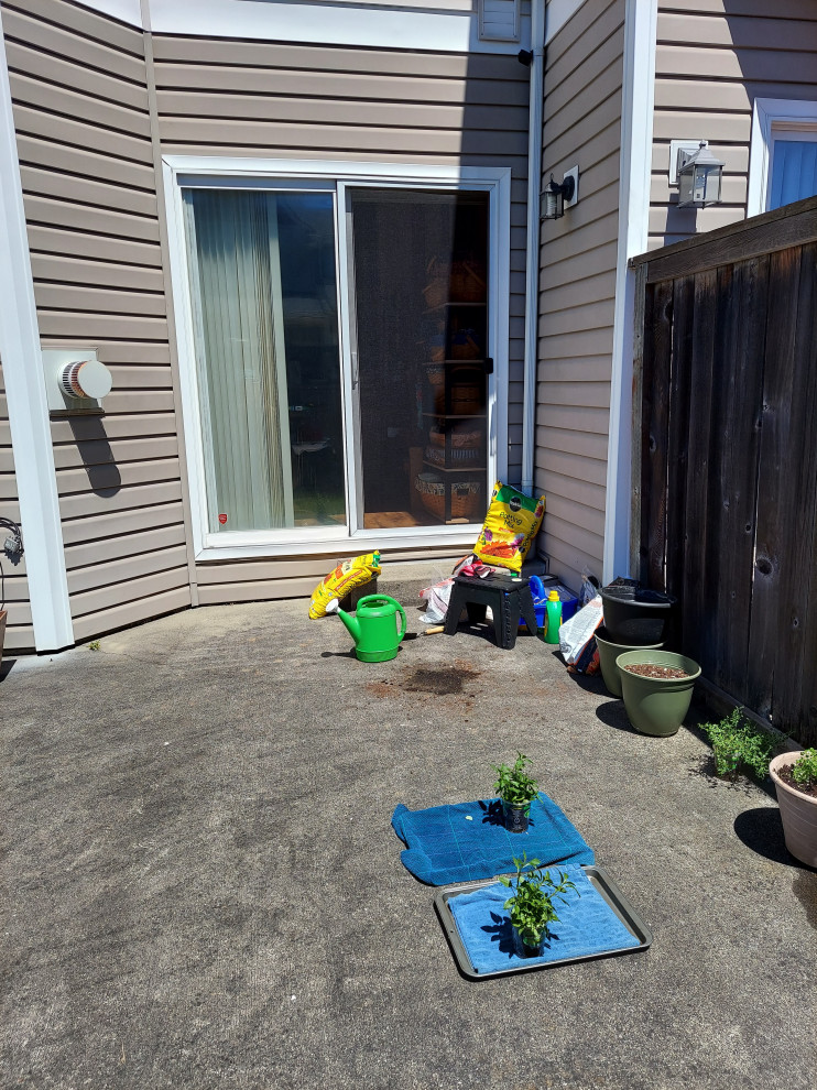 Small industrial back patio in Seattle with a potted garden, concrete slabs and no cover.