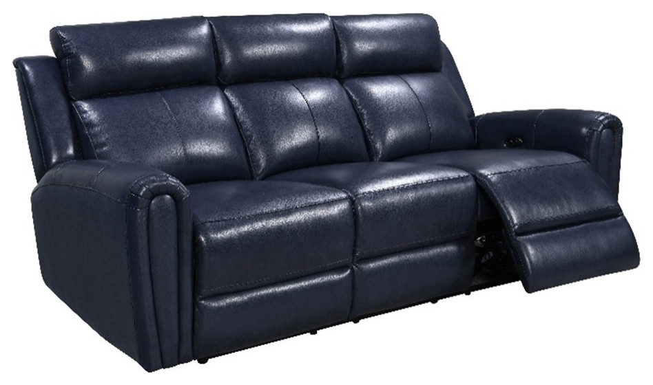 Bowery Hill Modern Geuine Leather & Hardwood Sofa in Blue Finish