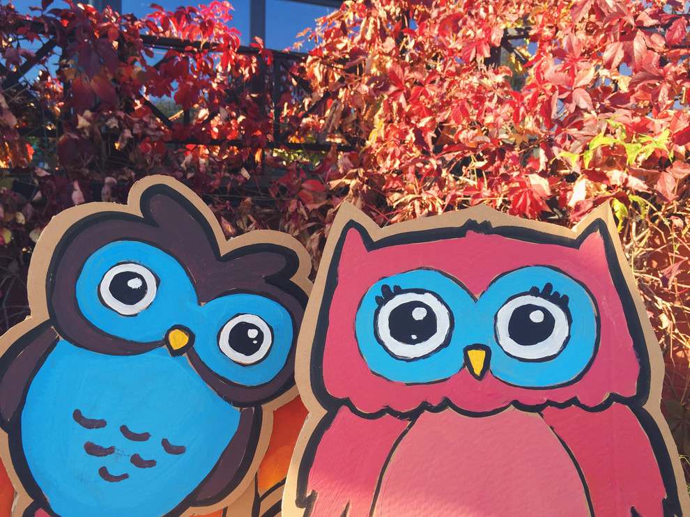 Картон для фото