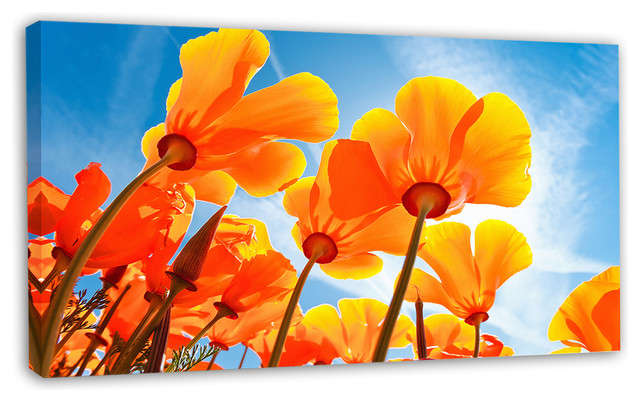 Yellow Spring Flowers on Blue, Floral Canvas Art Print - Contemporary ...