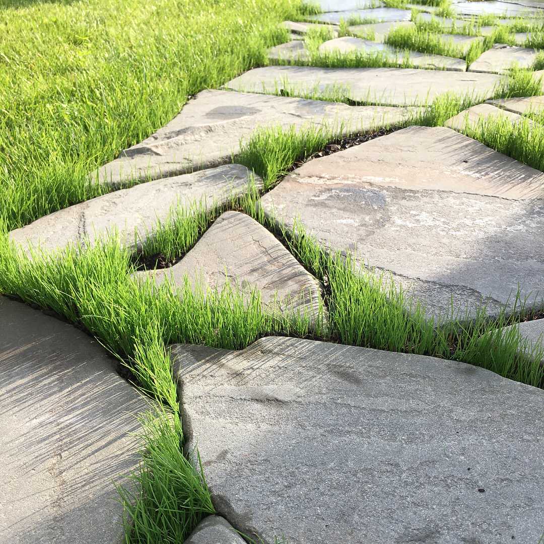 Ландшафтный дизайн сада в поселке "Олимп"