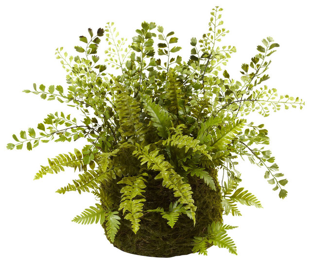 Mixed Fern With Twig and Moss Basket, Green