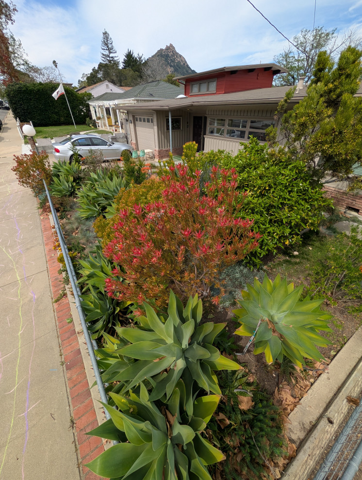 An Artist's Garden