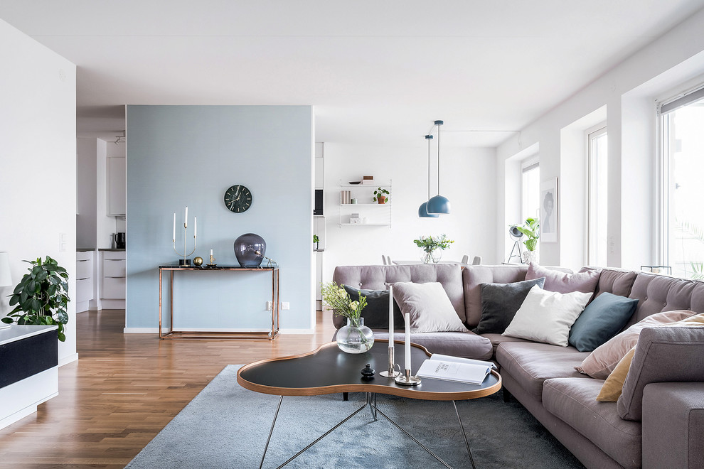 Inspiration for a scandinavian living room in Gothenburg with blue walls, medium hardwood floors and brown floor.