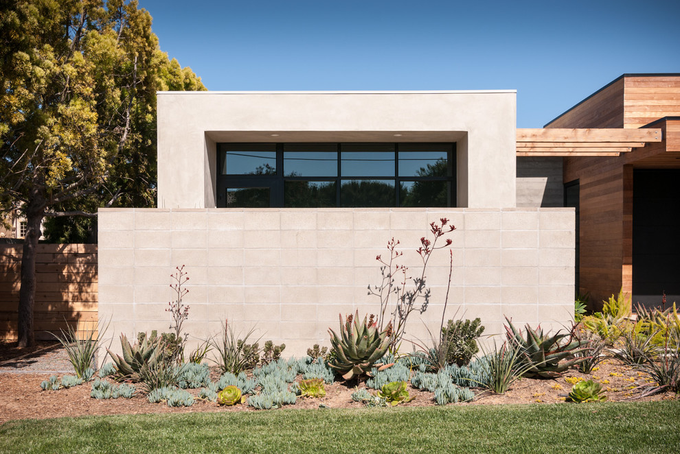 Inspiration for a contemporary front yard garden in San Diego.