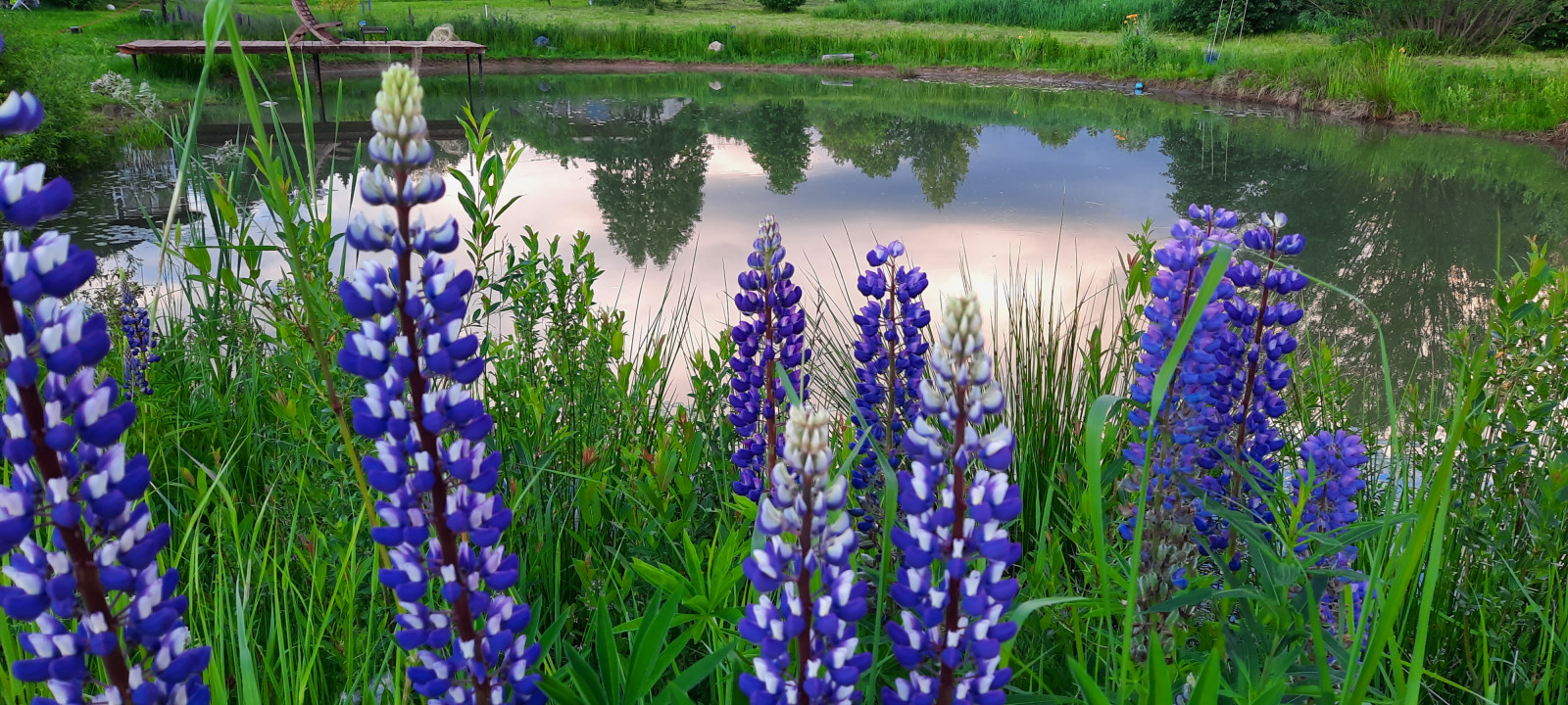 Пермакультурная личная усадьба.