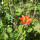 kathryn_boeglin