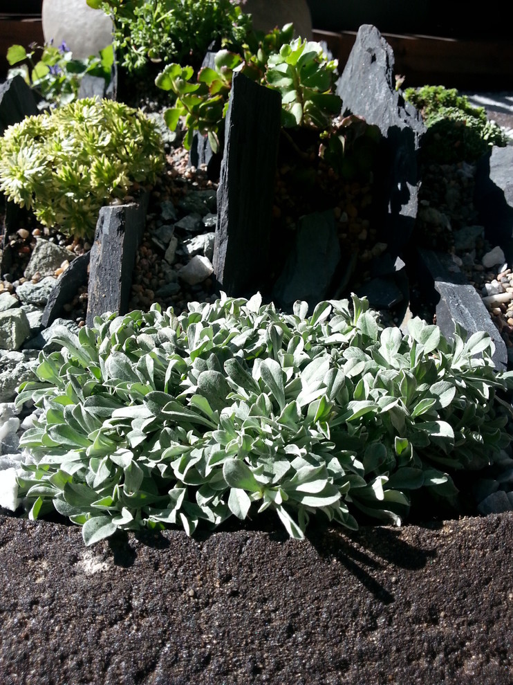 Альпинарии