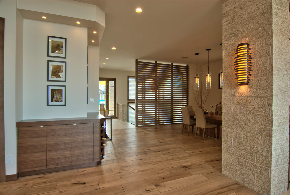 Design ideas for a contemporary hallway in Other with white walls and medium hardwood floors.