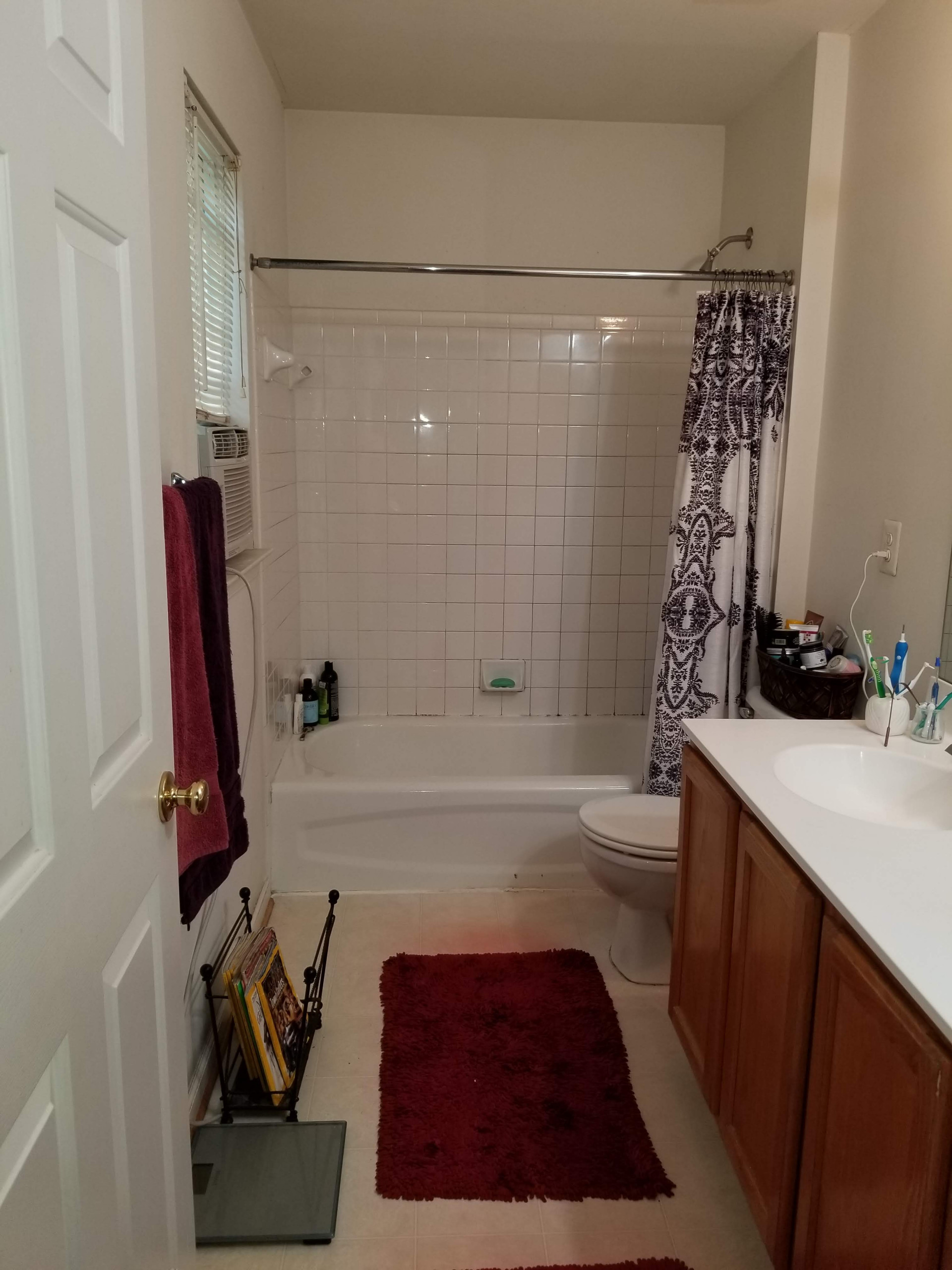 Bathroom Remodel