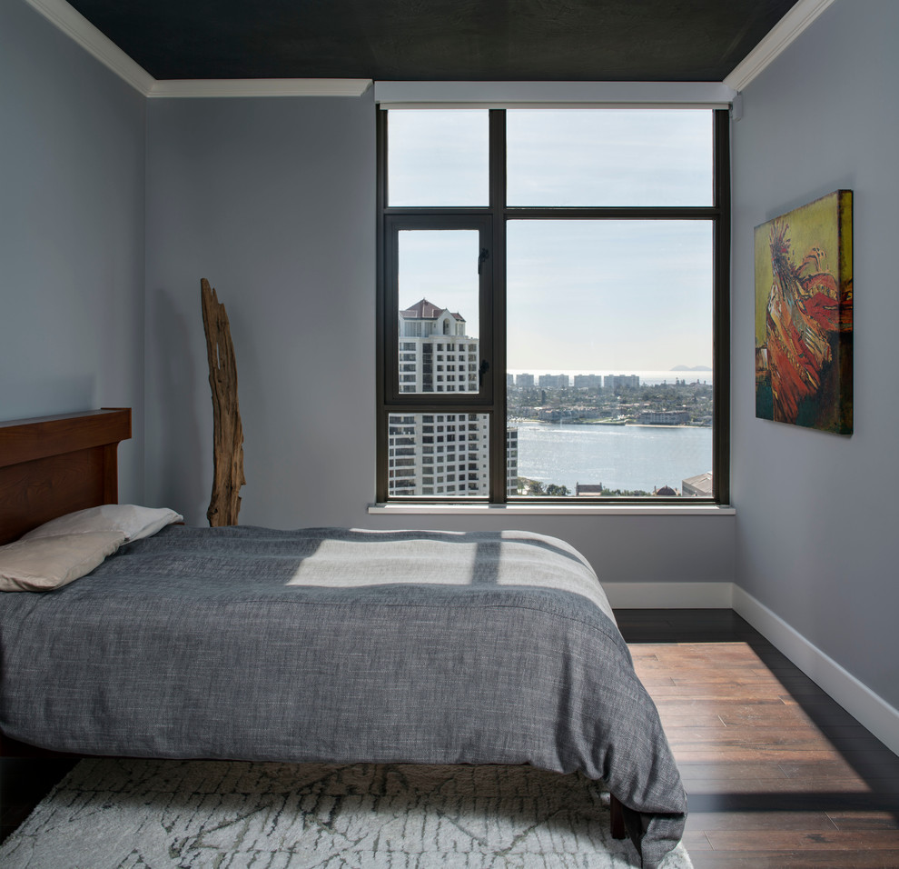 Inspiration for a small modern master dark wood floor bedroom remodel in San Francisco with gray walls and no fireplace