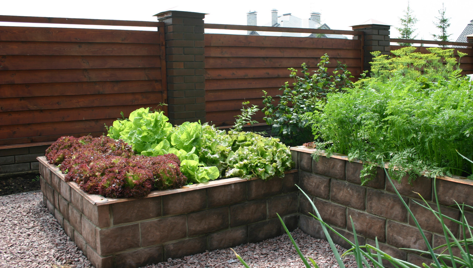 Истра кантри клаб