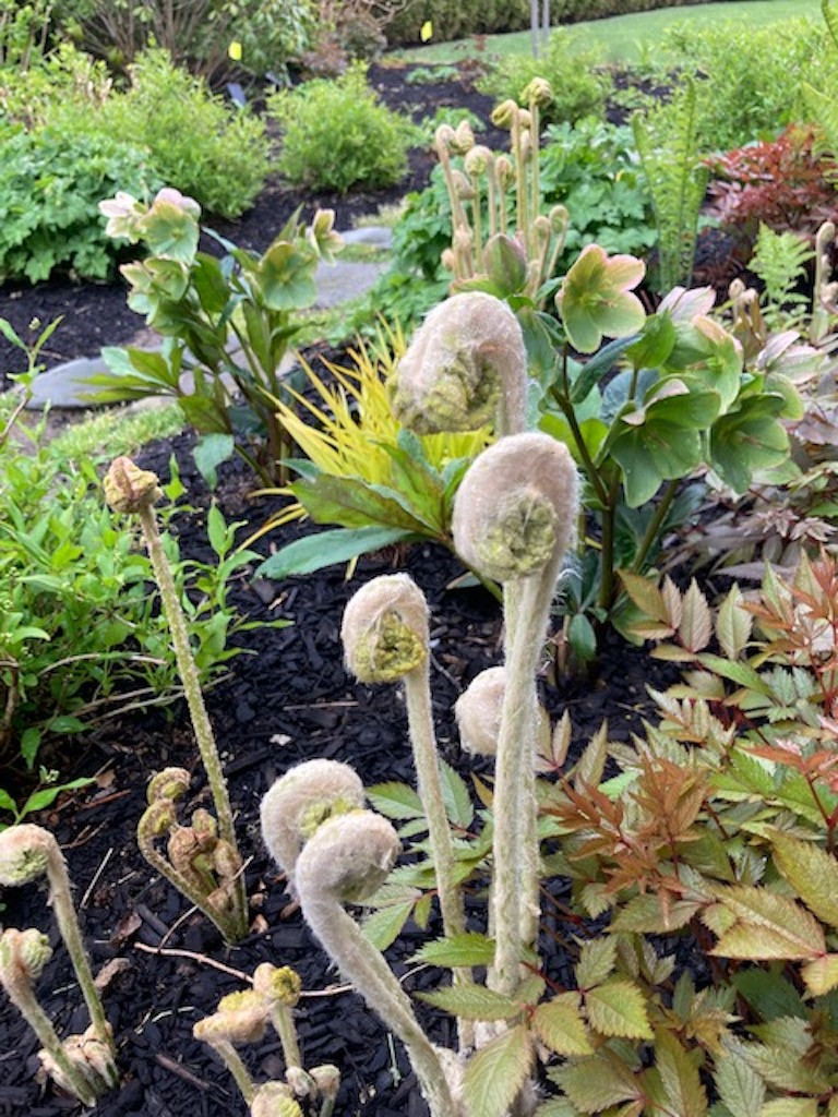 Watermill, NY - Summertime Gardens