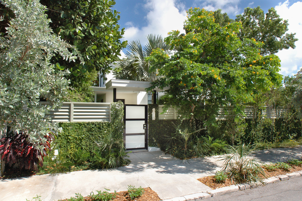 Mid-sized contemporary front yard garden in Miami with a garden path.