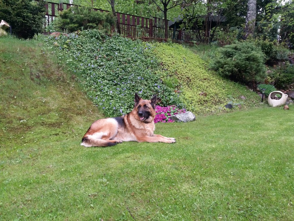 Вписываясь в природу