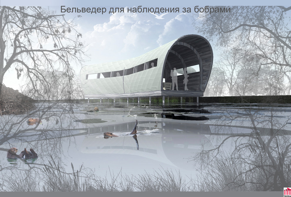 Бельведер для наблюдения за бобрами