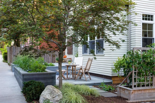 Brookline Modern Front Yard traditional-garden