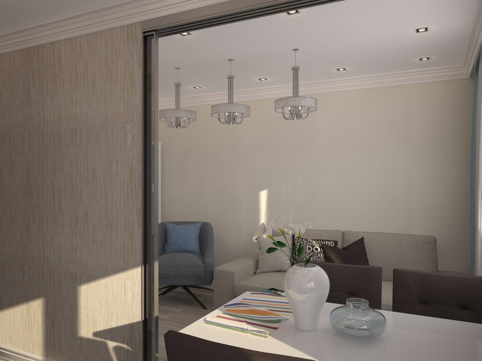 Двухкомнатная квартира.Москва.Современный стиль.