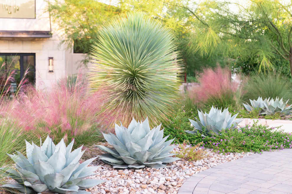 Large contemporary front yard full sun xeriscape in Austin with a garden path and river rock for fall.