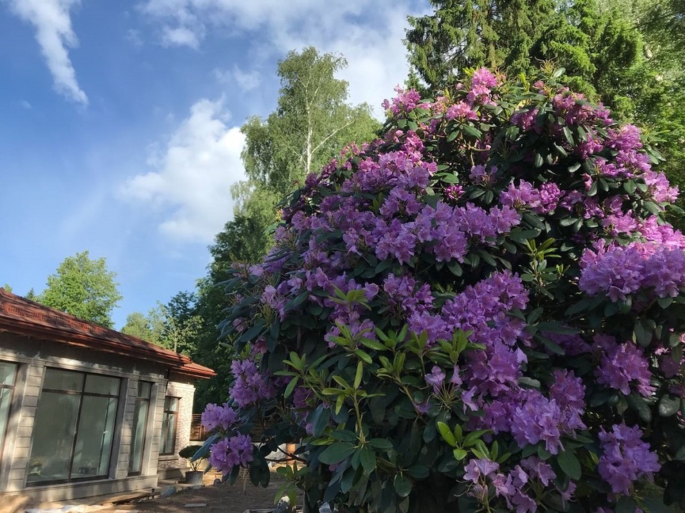 Современный ландшафтный дизайн.