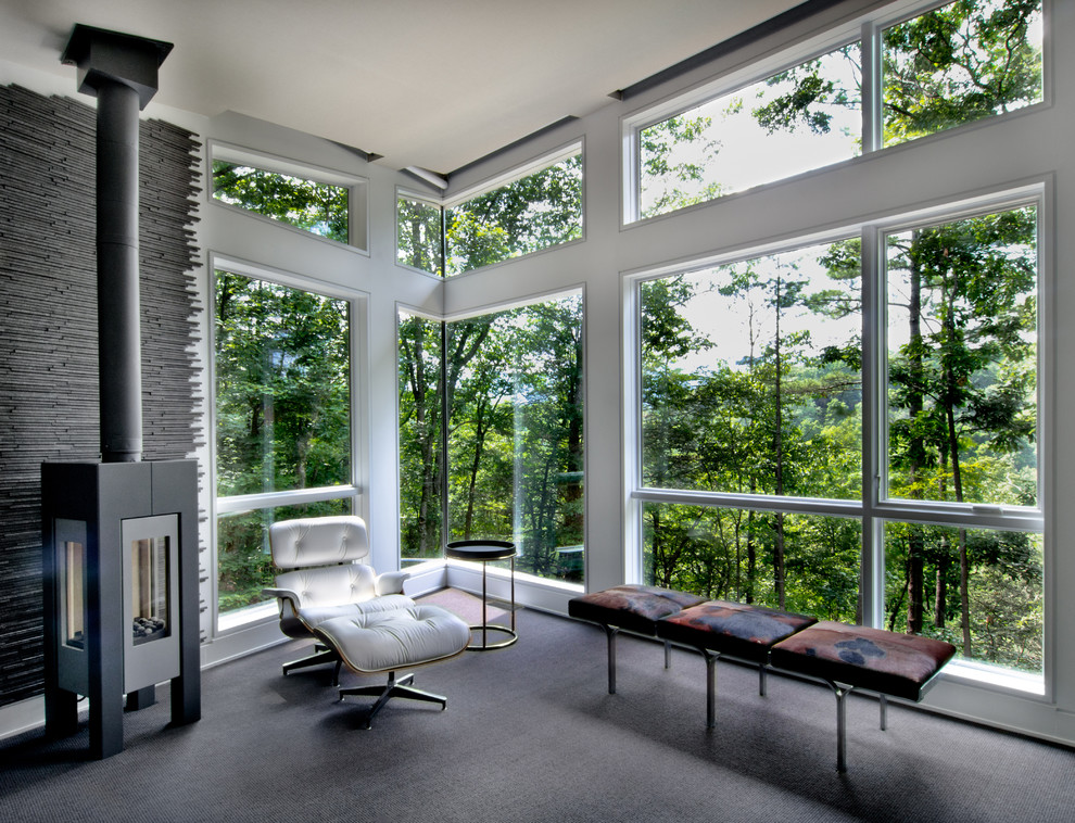 Large contemporary sunroom in DC Metro with carpet, a wood stove, a metal fireplace surround and a standard ceiling.