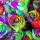 sandra_tesch
