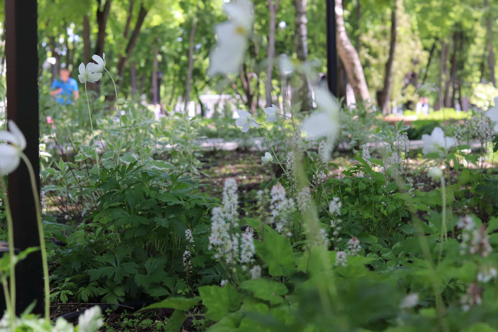 Парк Орленок