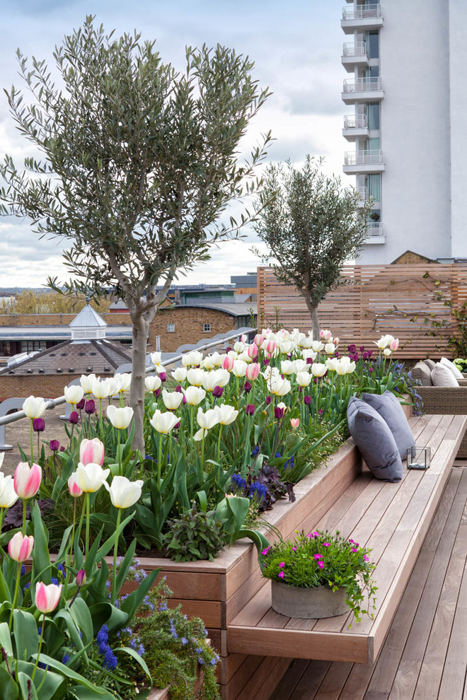 Transitional rooftop garden in London with a container garden.