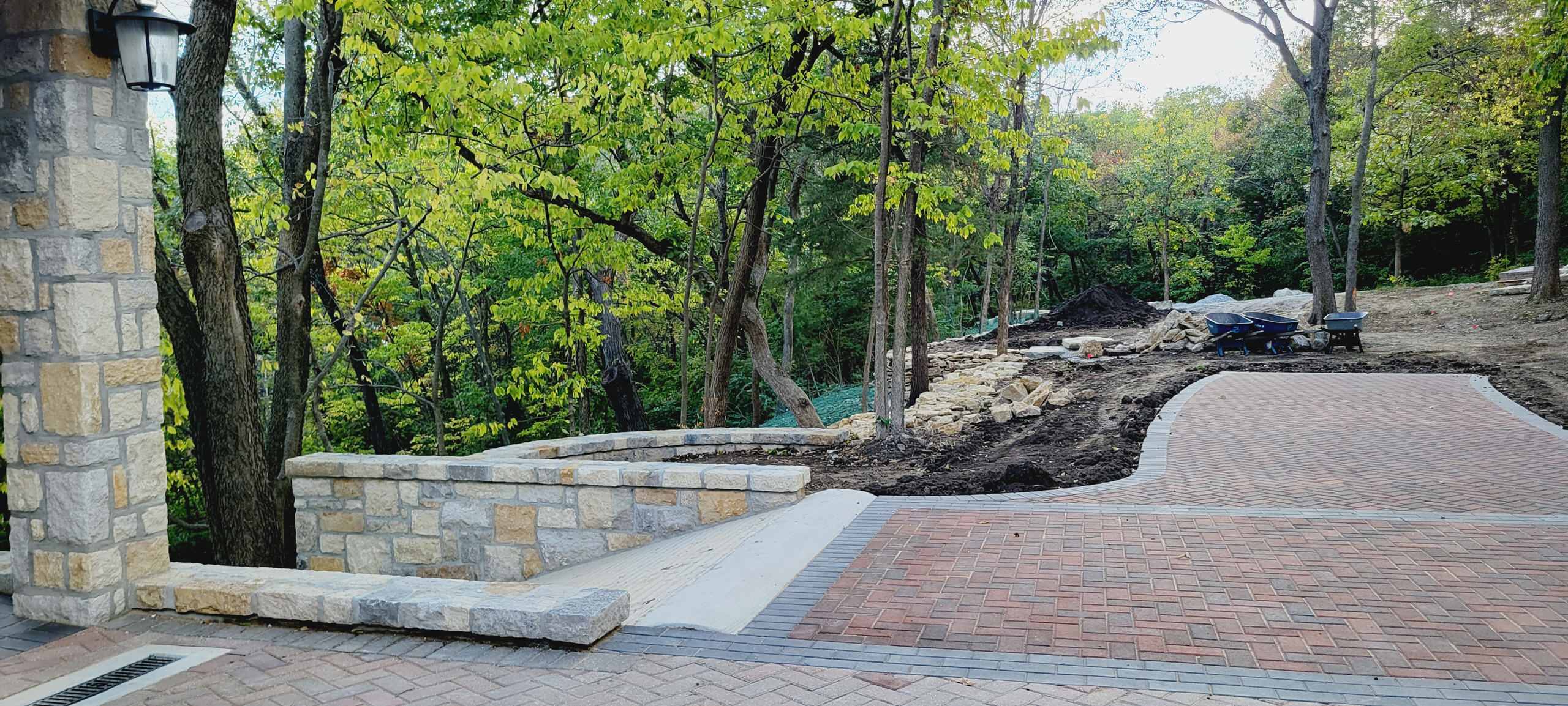 Woodland Restoration In Progress