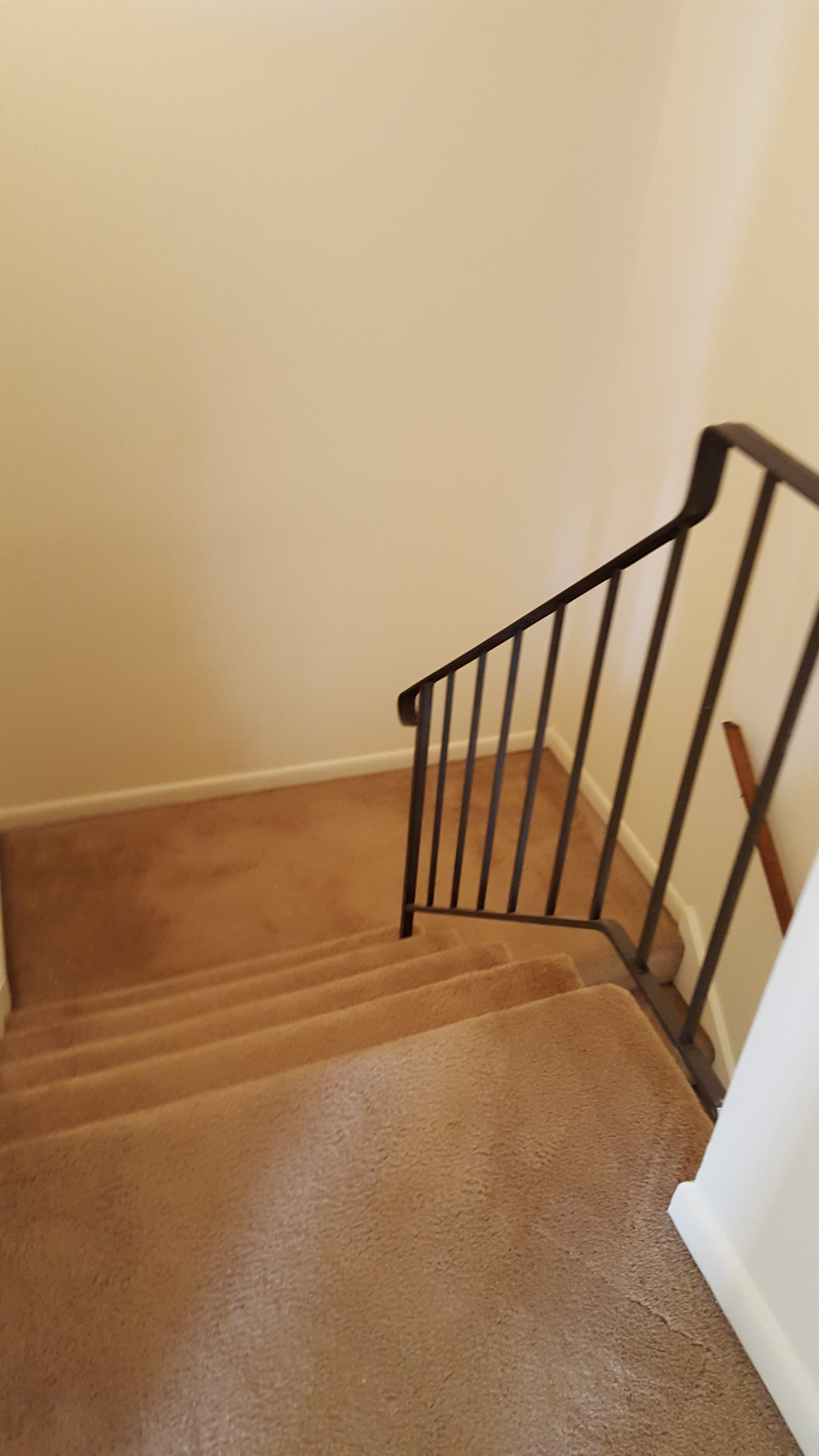 Entire Home Update/Remodel