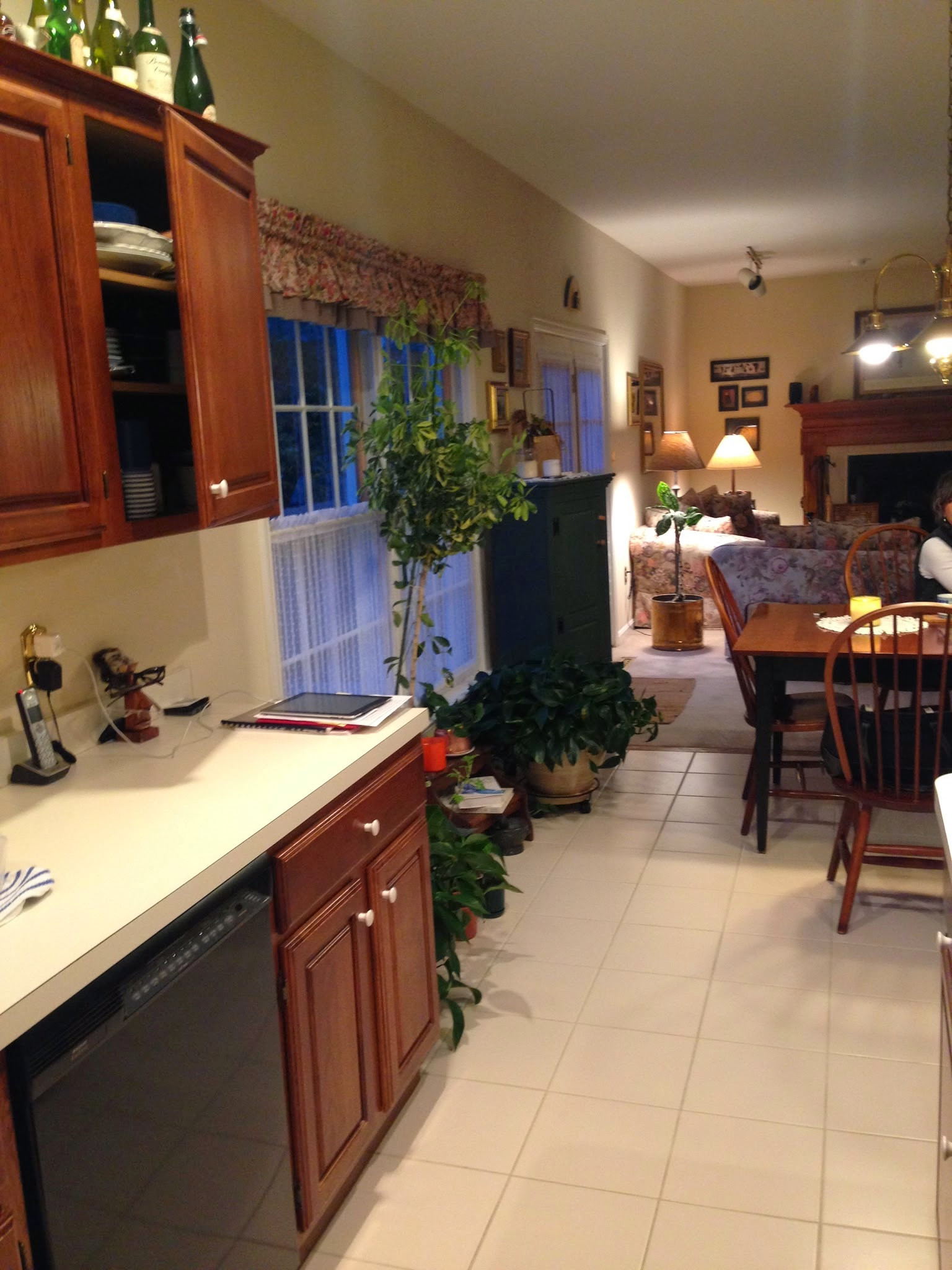 Award-Winning Kitchen Expansion | Harrisburg, PA