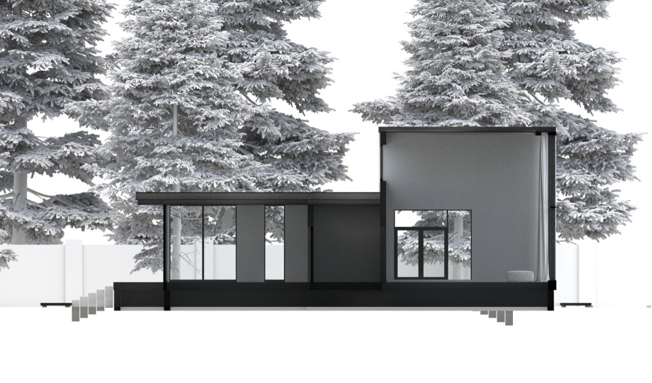 Дом на берегу моря, Пионерский