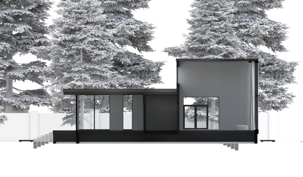 Дом на берегу моря, Пионерский