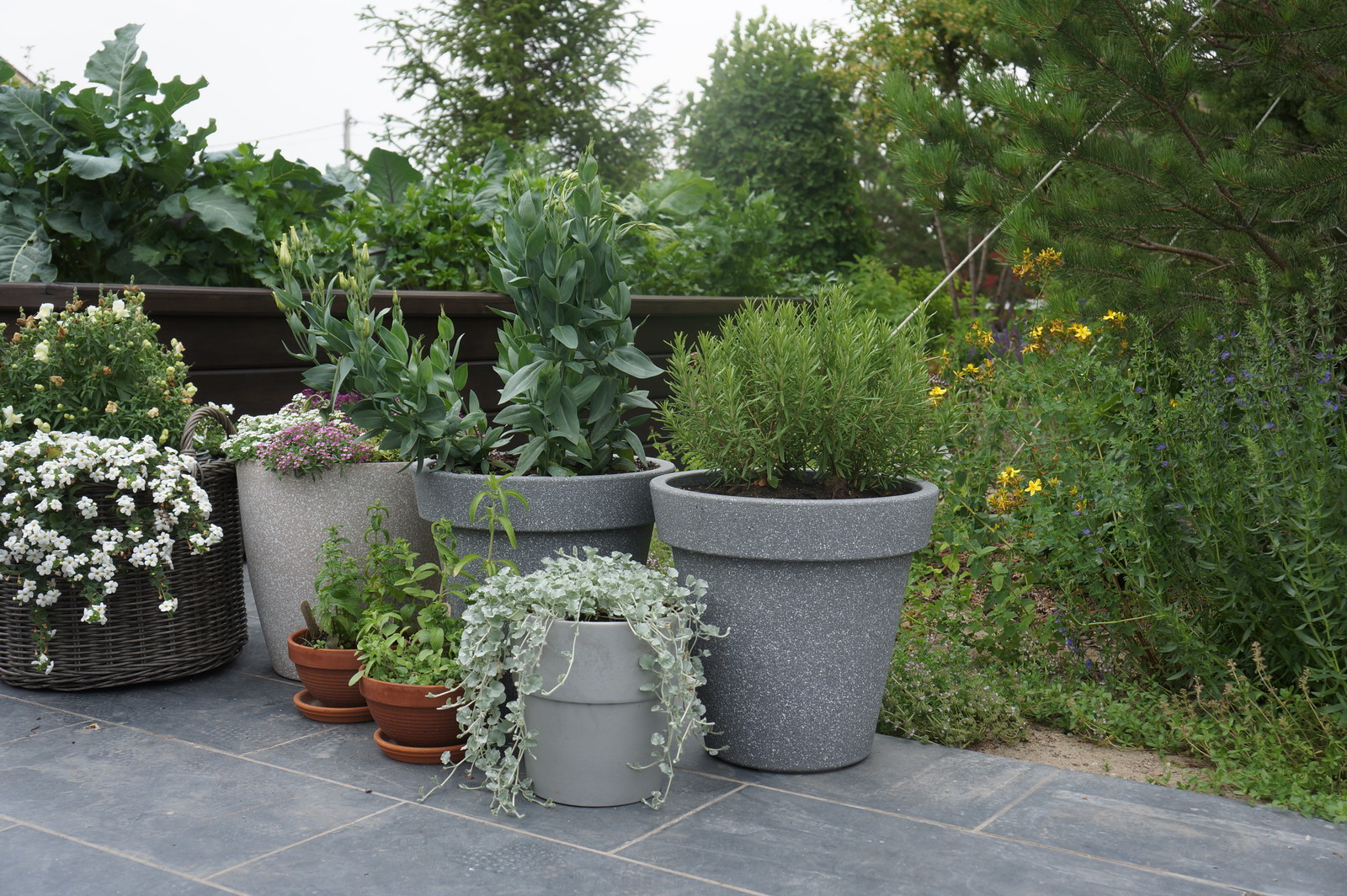 Счастливый сад