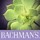 Bachman's Floral, Home and Garden