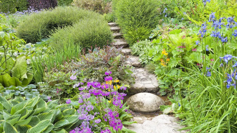 Garden Landscape and Outdoor Oasis