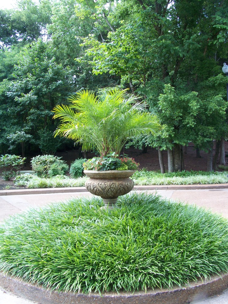 Photo of a modern landscaping in Nashville.