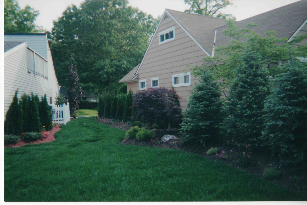 Backyard oasis and complete renovation